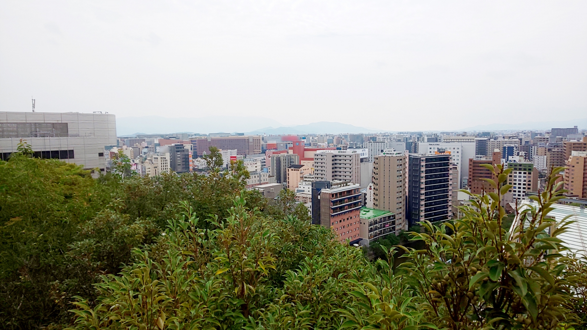 福岡市南区柏原四丁目のメイン画像