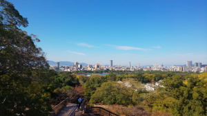 糟屋郡志免町田富二丁目の中古マンション最新販売事例と暮らしお役立ち情報