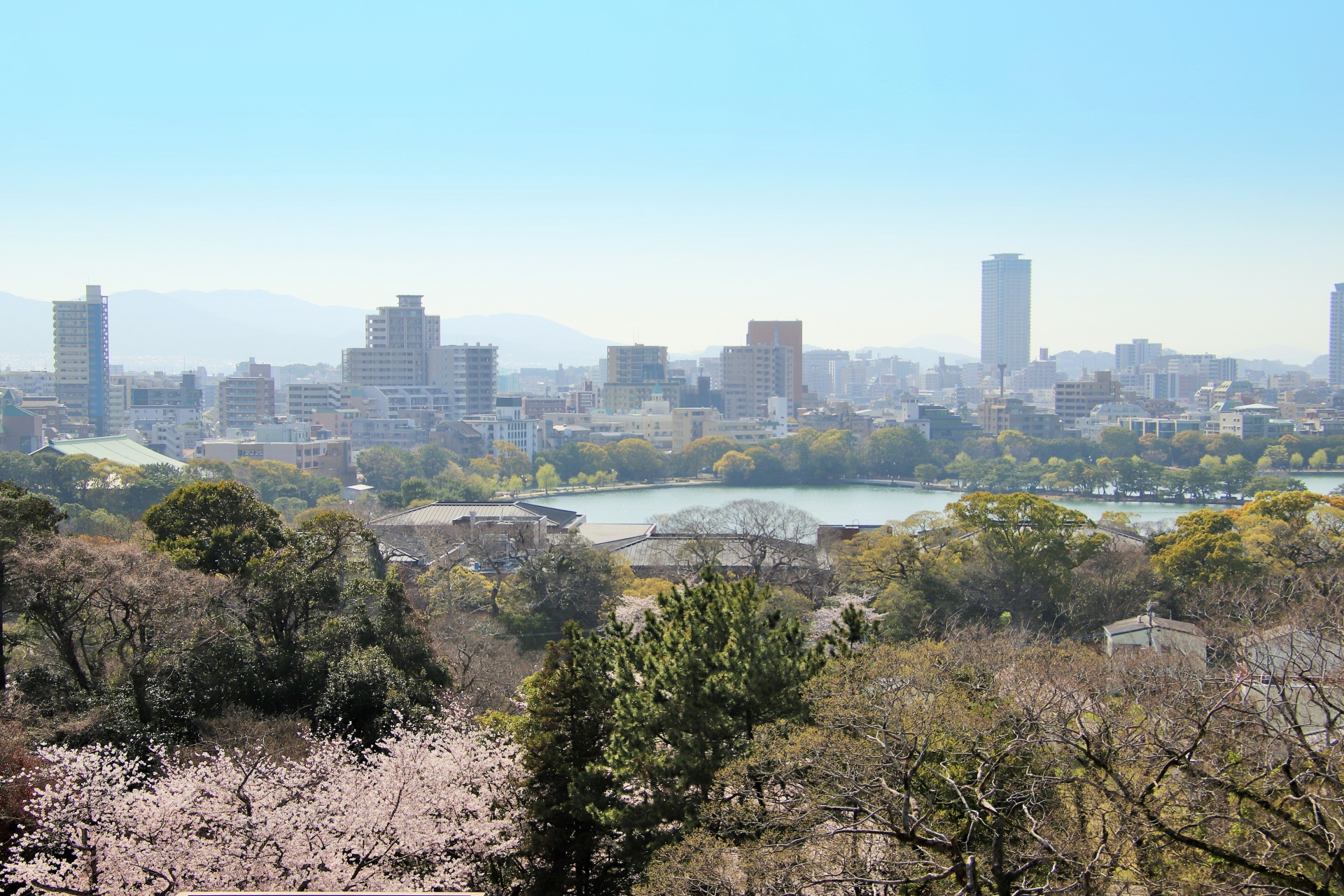 福岡市中央区梅光園一丁目のメイン画像