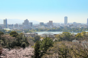 福岡市中央区梅光園一丁目の中古マンション最新販売事例とお役立ちタウン情報