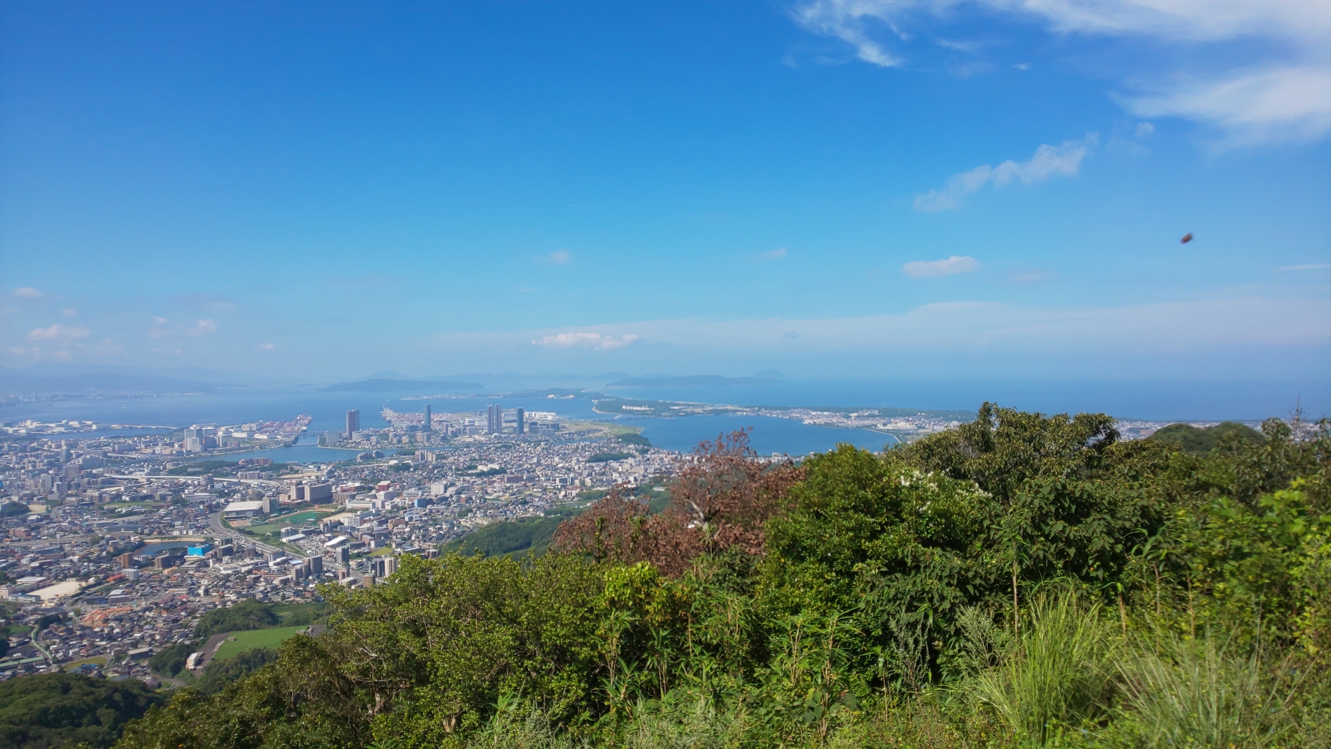 糟屋郡新宮町桜山手一丁目のメイン画像